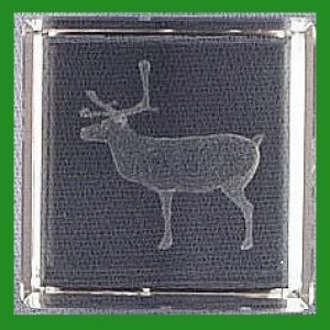 LASER-etched Cube Caribou